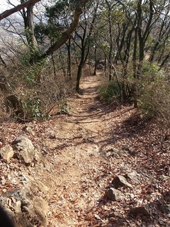 010 17.02.16 みかも山冒険他 019 ハイキングコース.jpg