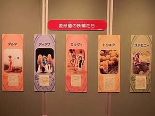 010 18.03.01 022 変形菌の妖精.jpg