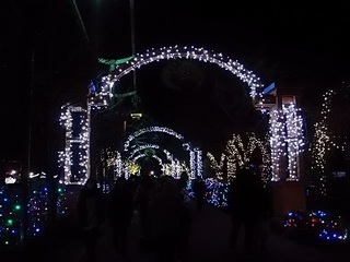 011 16.12.24 東武動物公園イルミネーション 033 光のトンネル.jpg