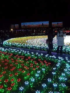 011 17.02.12 東武動物公園ウィンターイルミネーション 028 ハートフルガーデンとLEDビジョン.jpg