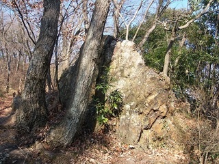 011 17.02.16 みかも山冒険他 022 岩.jpg