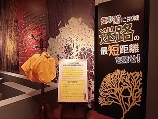 011 18.03.01 020 迷路.jpg