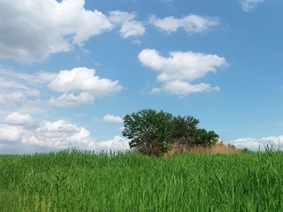 012 17.06.01 022 時の草原の中へ.jpg