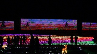 012 東武動物公園ウィンターイルミネーション 光のスクリーン.jpg