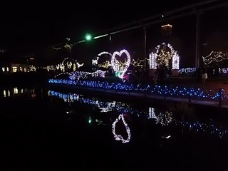 013 16.12.24 東武動物公園イルミネーション 038 鯉牧場ハート.jpg
