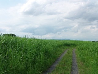 013 17.06.01 025 太平山遠望.jpg