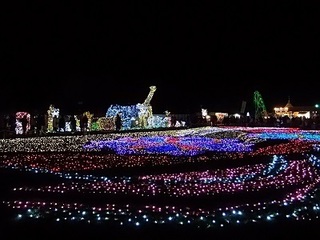 014 16.12.24 東武動物公園イルミネーション 043 光の動物たち.jpg