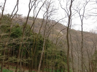 014 17.03.31 030 三毳山.jpg