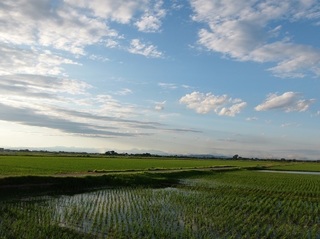014 17.06.04 013 ci.jpg