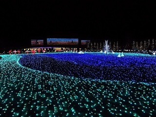 015 16.12.24 東武動物公園イルミネーション 044 光のスクリーン.jpg
