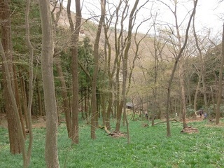 015 17.03.31 028 帰り道.jpg