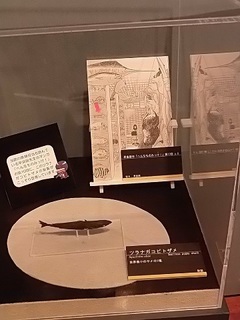 015 17.10.13 029 サメ展・ツラナガコビトザメ.jpg