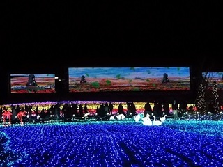 016 16.12.24 東武動物公園イルミネーション 050 光のスクリーン.jpg