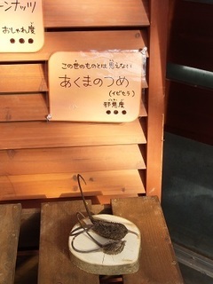 017 17.01.07 059 悪魔の爪.jpg