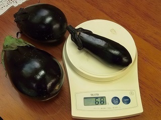 017 17.06.19 011 ナス.jpg