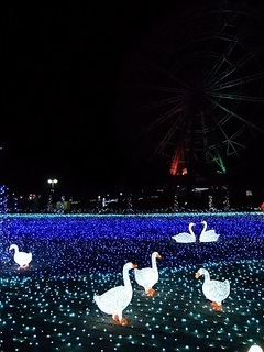 018 16.12.24 東武動物公園イルミネーション 054 観覧車とアヒル.jpg