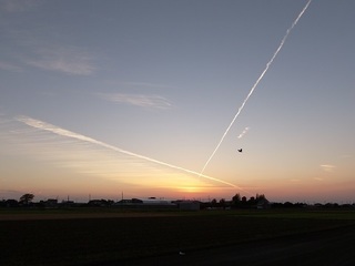 018 17.11.02 054 The X.jpg