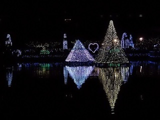 019 16.12.24 東武動物公園イルミネーション 059 鯉牧場.jpg
