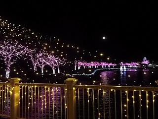 019 17.02.12 東武動物公園ウィンターイルミネーション 043 十六夜月と白鳥の池.jpg