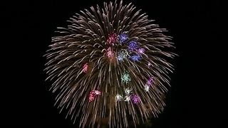 019 PIC_0580 古河花火大会.jpg