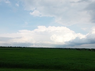 020 17.06.01 040 北エントランスから(帰り).jpg