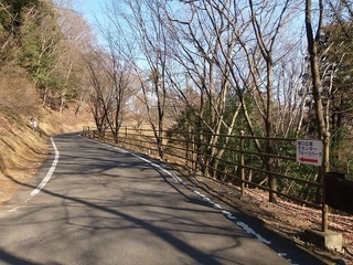 021 17.02.16 みかも山冒険他 043 アジサイの路.jpg