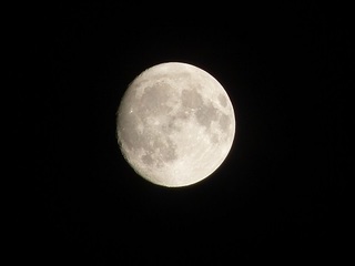 021 17.11.02 065 十三夜月.jpg