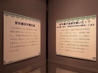 021 18.03.01 039 変形菌が迷路を解いた!?.jpg