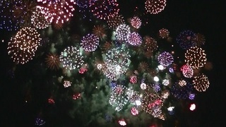 021 PIC_0585 古河花火大会.jpg