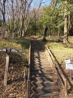 022 17.02.16 みかも山冒険他 044 三毳神社の参道.jpg