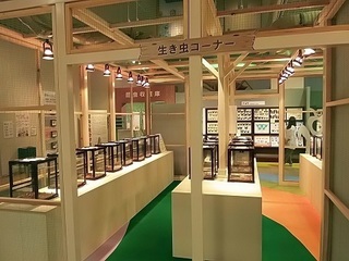 022 17.07.13 037 生き虫コーナー.jpg