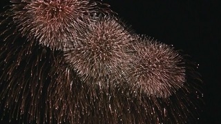 022 PIC_0587 古河花火大会.jpg