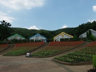 023 16.08.07 028 とちぎ花センター大花壇.jpg