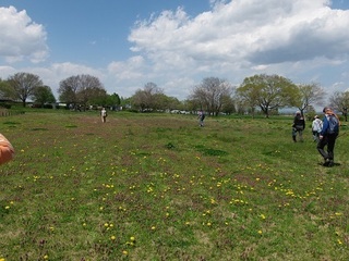 023 17.04.19 渡良瀬植物観察会 064 解散後の子供広場.jpg
