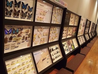 023 17.07.13 046 パネル展示は続く.jpg