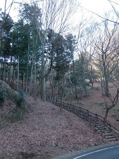 024 17.02.16 みかも山冒険他 046 最初の階段.jpg