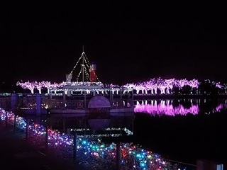 025 16.12.24 東武動物公園イルミネーション 074 スワニー号.jpg