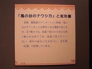 025 18.03.01 044 ナウシカと変形菌.jpg