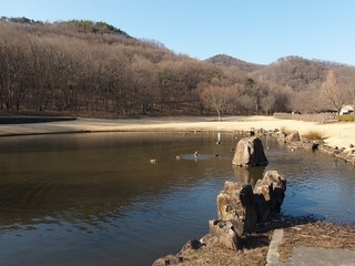 026 17.02.16 みかも山冒険他 052 公園の池.jpg