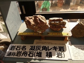 028 17.02.16 みかも山冒険他 054 石.jpg