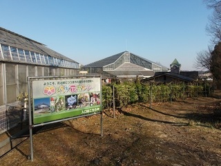 029 17.02.16 みかも山冒険他 056 とちぎ花センター.jpg