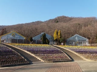030 17.02.16 みかも山冒険他 057 大花壇と青竜ヶ岳.jpg