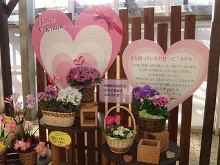 036 17.02.16 みかも山冒険他 076 フラワーバレンタイン.jpg