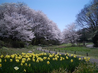 12.04.12 茨城県自然博物館 008.jpg