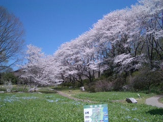12.04.12 茨城県自然博物館 018.jpg