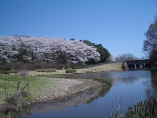 12.04.12 茨城県自然博物館 055.jpg