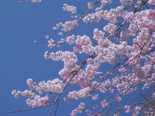 12.04.12 茨城県自然博物館 058.jpg