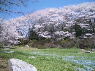 12.04.12 茨城県自然博物館 063.jpg