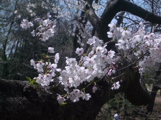 12.04.12 茨城県自然博物館 082.jpg