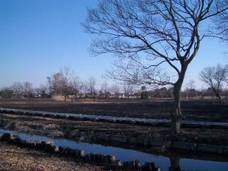 13.01.31 001 圧縮.JPG